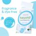 Beyond Laundry Detergent Strips - Eco-Friendly Hypoallergenic & Travel-Friendly | 32 Dissolvable Strips - Free & Clear - Buy Online on GoSupps.com