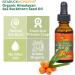 100% Organic Sea Buckthorn Seed Oil - Pure 1 oz | Best for Skin & Hair - Buy Online on GoSupps.com