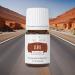 Clove Vitality 5ml by Young Living - Antioxidant and Immune System Support - Warm and Spicy Flavor Tea Flavoring Baked Goods Flavor - Culinary Essential Oil for Recipes - Buy Online on GoSupps.com