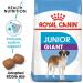 Royal Canin 31 Dog Giant/Junior Food 3.5 kg - Buy Online on GoSupps.com