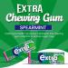 Extra Chewing Gum 10 x Sugar Free Mix Flavours Bulk Box - Peppermint, Watermelon, Strawberry, Apple, and more | VR Angle - Buy Online on GoSupps.com