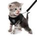 Femax cat dishes with leash for dogs cats soft mesh no pull dog dishes Reflecting adjustable breathable breathable puppy breast dishes for walking training xs (chest 26-29 cm) black