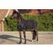 Buy HKM Flying Ceiling Multicolored 165 | Best International Shipping | Shop Unique Equestrian Decor - Buy Online on GoSupps.com