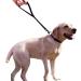 Dog Lead Short Training Dog leashes 25 inch Black - Buy Online on GoSupps.com