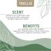 Trellis Rosemary Essential Oil 10ml - 100% Pure Aromatherapy Oil for Diffusers | Vegan & Cruelty-Free | Ethically Sourced from Spain | Bottled in the UK (1 Pack) - Buy Online on GoSupps.com