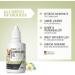 Reavet Ear Mite Oil Plus 50ml | Effective Ear Mite Remedy for Dogs with Chamomile - Soothing Ear Drops & Cleaners - Buy Online on GoSupps.com
