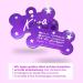 Ibera Gifts - Personalized Bone-Shaped Dog & Cat Collars | Engraved Neck Bands for Medium to Large Pets (Purple Stars) - Buy Online on GoSupps.com