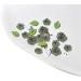 3D Flower Nail Steel Beads Leaf Nails Art Nails Art Decorations Nails Art Supplies for Acrylic Nails 3D Flower Nail Leaf Nails Art Steel Beads Nails Art Decorations - Buy Online on GoSupps.com