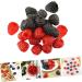 HOMSFOU 200 Pcs Simulation Raspberry Small Christmas Decor Fruitful Mini Fake Fruit Photo Prop Raspberry Kids Fruit Model Prop Pvc Raspberry Vegetable Props Plant Food Decorate Soft Pvc - Buy Online on GoSupps.com