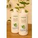 LR Lifetakt Aloe Vera Drinking Gel Active Freedom Health Care Women Men Drink Every Day Natural Treatment Set of 3-1000 ml./33.3 fl.oz - Buy Online on GoSupps.com