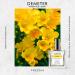 DEMETER Fragrance Library 3.4 oz Cologne Spray - Freesia Freesia 3.4 Fl Oz (Pack of 1) - Buy Online on GoSupps.com