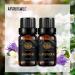 Therapeutic-Grade Aromatherapy Essential Oils Set Jasmine Lavender Essential Oils Set 100% Pure Aromatherapy Essential Oils Kit for Diffuser Massage Humidifier 2x10ml - Buy Online on GoSupps.com
