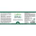 Dr. Jacobs Lactobifido 90 Capsules - 5 Billion Probiotics for Histamine Intolerance - Yeast & Gluten Free - 90 Portions - Buy Online on GoSupps.com