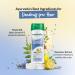 Ayurvedic Anti-Dandruff Shampoo - 400ml | Natural Scalp Treatment for Healthy Dandruff-Free Hair - Buy Online on GoSupps.com