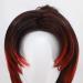 Anime Cosplay Wig for Demon Slayer - Kokushibou Heat Resistant Synthetic Hair for Carnival & Halloween - Buy Online on GoSupps.com