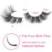 Lashes Fluffy False Eyelashes Natural Look Wispy Cat Eye Flat Lashes 3D Fluffy Eyelashes Natural Fake Lashes 18mm Strip Lashes Pack 7 Pairs Fluffy Clear Band - Buy Online on GoSupps.com
