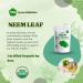 Iyasa Holistics USDA Organic Neem Leaf Super Greens Powder - 8 oz/ 226g - Purify Blood & Liver, Support Healthy Hair & Skin - Resealable Bag - Pack of 1 - Buy Online on GoSupps.com