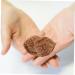 Foytoki Walnut Massage Roll Balls - Stress Relief & Fitness | Wooden Baoding Balls for Adults - Buy Online on GoSupps.com