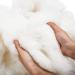 Bright Creations Wool Batting for Crafts and Pillows - 16oz Natural White Stuffing for Stuffed Animals and Cushions - Buy Online on GoSupps.com