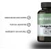 Ginkgo Biloba M moire Concentration & Circulation Sanguine 60 G lules - Buy Online on GoSupps.com