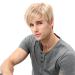 STfantasy Men's Wig Natural Wig Blonde Short Straight Layered Two-tone Mixed Wig for Cosplay (Golden)