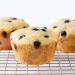 Miss Jones Baking Blueberry Muffin & Bread Mix - Vegan, Real Blueberries, Whole Grains, 50% Lower Sugar - 10.57 oz - Buy Online on GoSupps.com