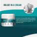 Plantar Fasciitis & Heel Spur Cream by PMT - Soothing Relief for Foot Pain with Arnica, Vitamin B6, Menthol & Aloe - 2.82 OZ - Buy Online on GoSupps.com