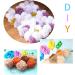 24 PCS Plastic Mesh Canvas Sheets - Variety Shapes for DIY Crafts and Embroidery - Buy Online on GoSupps.com