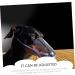 BESPORTBLE 3pcs Cat Muzzle Basket Muzzle for Dogs Kitten Mask Transparent Muzzle Hood Bubble Muzzle Pp - Buy Online on GoSupps.com