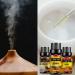 Premium LorFain Fruity Fragrance Oil Gift Set - Summer Fruit Scented Oils for Soap, DIY Candle, Bath Bombs Making - 6x10ml/0.34fl.oz - Buy Online on GoSupps.com