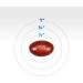 Philips Stool Softener 60 Liquid Gels - Fast Relief for Constipation - Buy Online on GoSupps.com