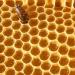 Stakich Yellow Beeswax Block - 1 Pound - Triple Filtered, Natural & Pure - Buy Online on GoSupps.com