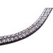 Shop ARBO-INOX Rhinestone Browband - Elegant Saddle Decoration & Boot Clip (COB) | International Shipping Available - Buy Online on GoSupps.com