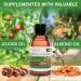 KitaMa Lemongrass Massage Oil 5000ml - Nourishing Body Oil for Relaxation & Care - Thai Aromatherapy Oil - Buy Online on GoSupps.com