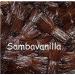Bourbon vanilla pods from Madagascar x 40 - Buy Online on GoSupps.com