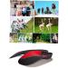 GLEAVI Arch Corrective Insoles - 2 Pairs Breathable Orthotic Shoe Pads for Men & Women | Sports & Heel Support - Buy Online on GoSupps.com