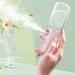 Face Nano Mist Sprayer 50ml Capacity USB Charging ABS Shell Handy Mist Sprayer for Home (Light Pink) - Buy Online on GoSupps.com