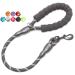 BAAPET 2/4/5/6 FT Strong Dog Leash with Comfortable Padded Handle and Highly Reflective Threads for Small Medium and Large Dogs