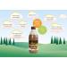 6x Delamere Dairy Flavoured Milk in Glass 240ml Bottles - Chocolate Chocolate 40 ml (Pack of 6) - Buy Online on GoSupps.com