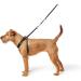 HUNTER Training & Education Harness - Side by Side 47-69 cm Black - International Shipping Available - Buy Online on GoSupps.com