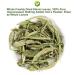 Organic Stevia Leaf Sweet Tea | Herbal Tea | 20g Plant Gift for Health - Buy Online on GoSupps.com