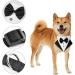 Caasfooy Dog Tuxedo Collar - Adjustable Smoking Bandana for All Sizes - Formal Wear for Small Medium & Large Dogs - Buy Online on GoSupps.com
