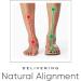 Vionic Relief Full Orthotic Insoles - Multi-colored - Women's 10.5-12/Men's 9.5-11 - Size L - Buy Online on GoSupps.com