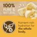Cococare Coco Cocoa Butter Stick 1 oz - Pack of 5 | 100% Pure & Natural - Buy Online on GoSupps.com
