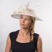 Buy McBURN 35902 Fascinator with Feathers - Old Pink | International Shipping Available - Buy Online on GoSupps.com