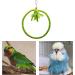 Congguan Bird Swing - Cotton Rope Ring for Budgies & Nymphicus | Bite-Resistant Hanging Toys - Buy Online on GoSupps.com