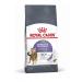 Royal Canin Appetite Control Care Adult Dry Cat Food 2kg (Suitable for Sterilised Cats) 2 kg (Pack of 1)