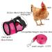 Chicken Harness with Leash Adjustable Leash Elastic Comfortable Hen Pet Vest Breathable Training for Hens Duck Goose Puppy Pet Harness - Buy Online on GoSupps.com
