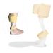 Buy ANGGREK Ankle Foot Orthosis Support - Ultra Thin Drop Foot Splint & Stabilizer for L Right Foot - Lightweight & Tailorable  - Buy Online on GoSupps.com