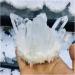 400-500g Natural Clear Quartz Crystal Cluster Minerals for Reiki Stone Home Furnishing ZJGIDTEM - Buy Online on GoSupps.com